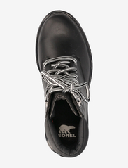 Sorel - LENNOX LACE STKD WP - buty sznurowane - black, sea salt - 3