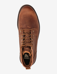 Sorel - MADSON II FIELD WP - veter schoenen - velvet tan, blackened brown - 3