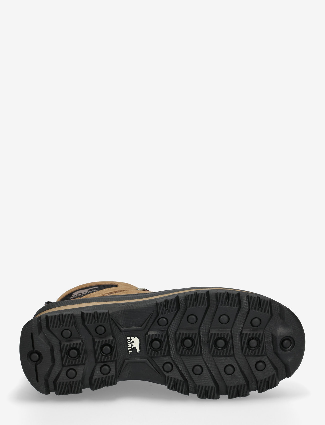 Sorel - BUXTON LACE BOOT WP - wanderschuhe - delta, black - 4