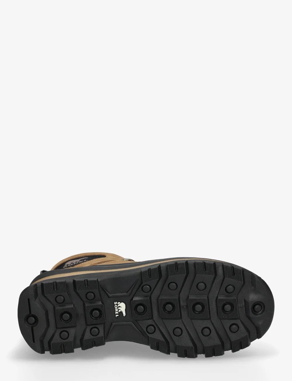 Sorel - BUXTON LACE BOOT WP - matka- ja kõndimisjalatsid - delta, black - 4