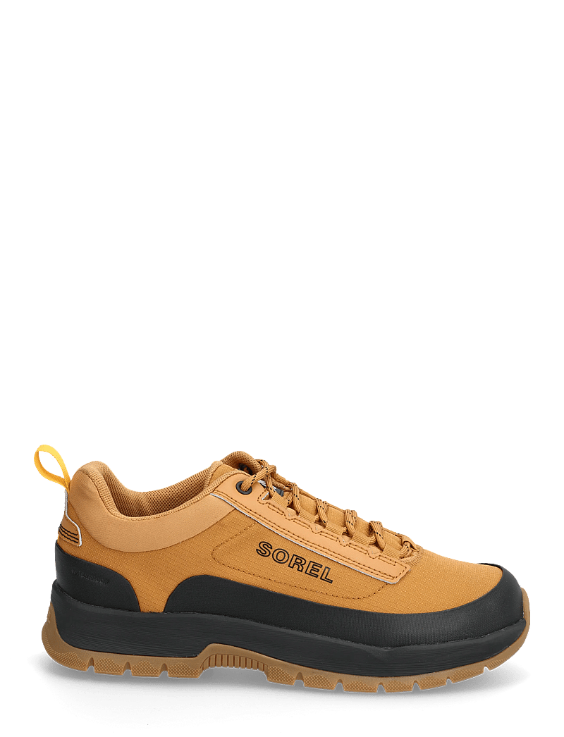 Sorel - OUTING NW SNEAKER LOW WP - niedriger schnitt - canyon gold, black - 1
