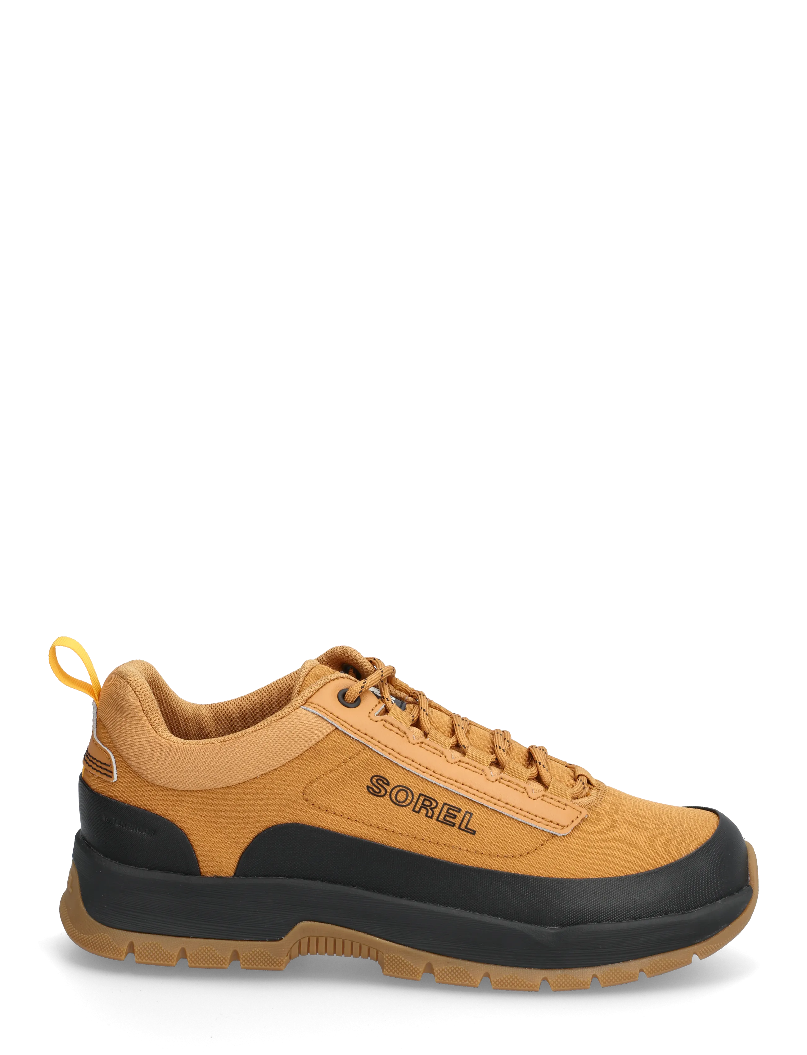 Sorel - OUTING NW SNEAKER LOW WP - sport - canyon gold, black - 1