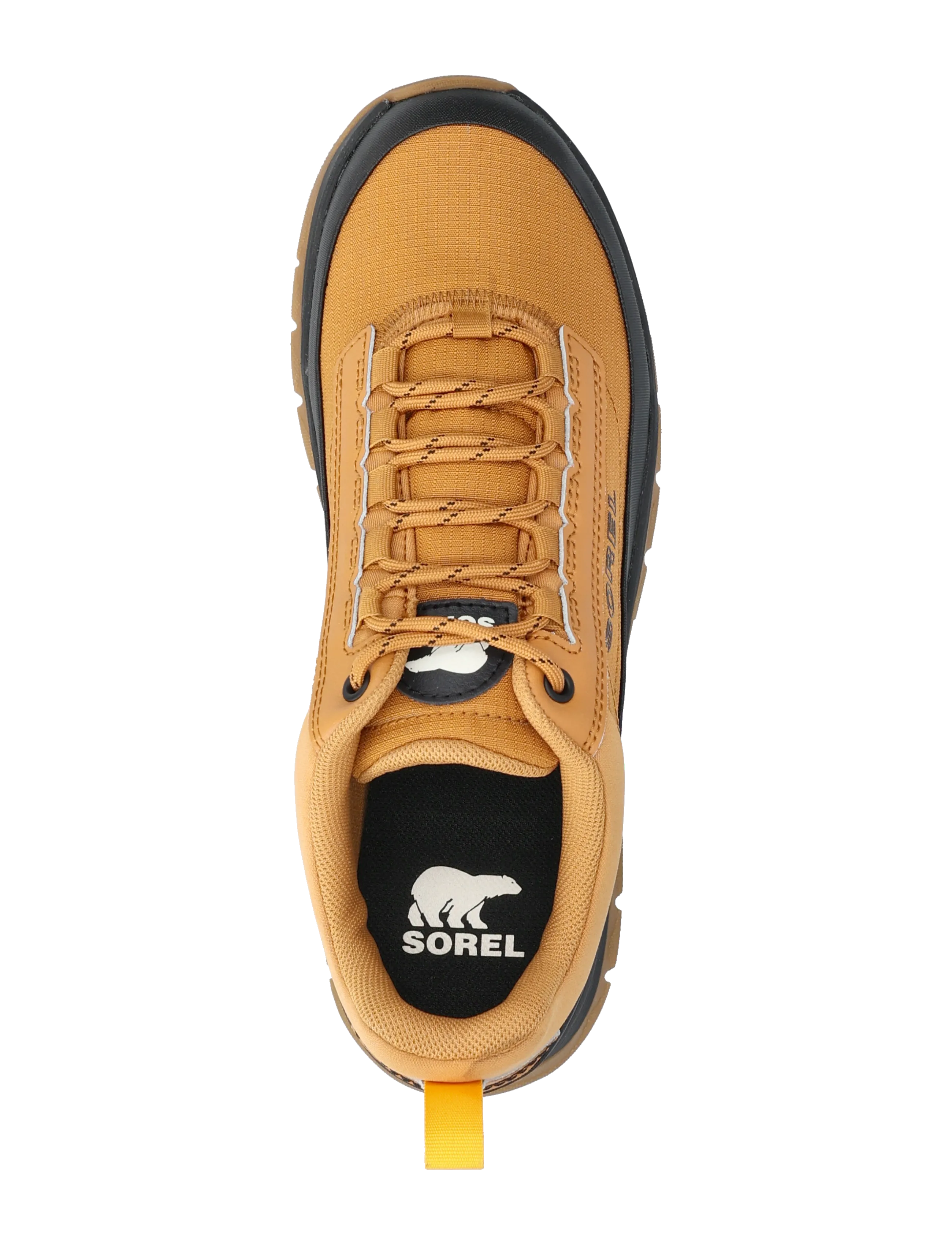 Sorel - OUTING NW SNEAKER LOW WP - sport - canyon gold, black - 3