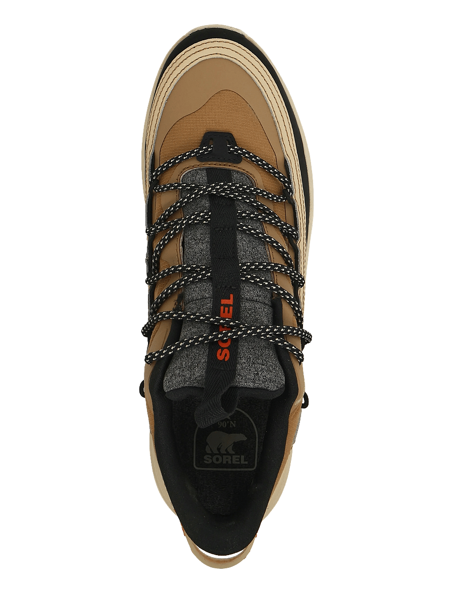 Sorel - CALLSIGN HORIZON LOW GTX® - low-top sneaker - caribou buff, caribou beige - 3