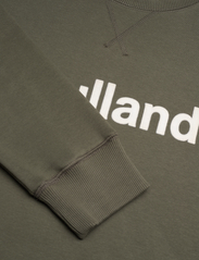 Soulland - Willie sweatshirt - kapuutsiga dressipluusid - green - 2