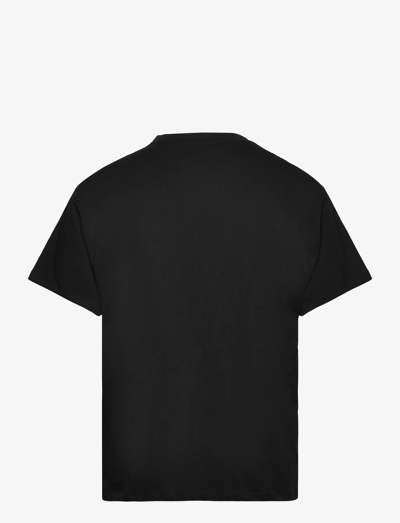 Soulland - ASH T-shirt - lühikeste varrukatega t-särgid - black - 1