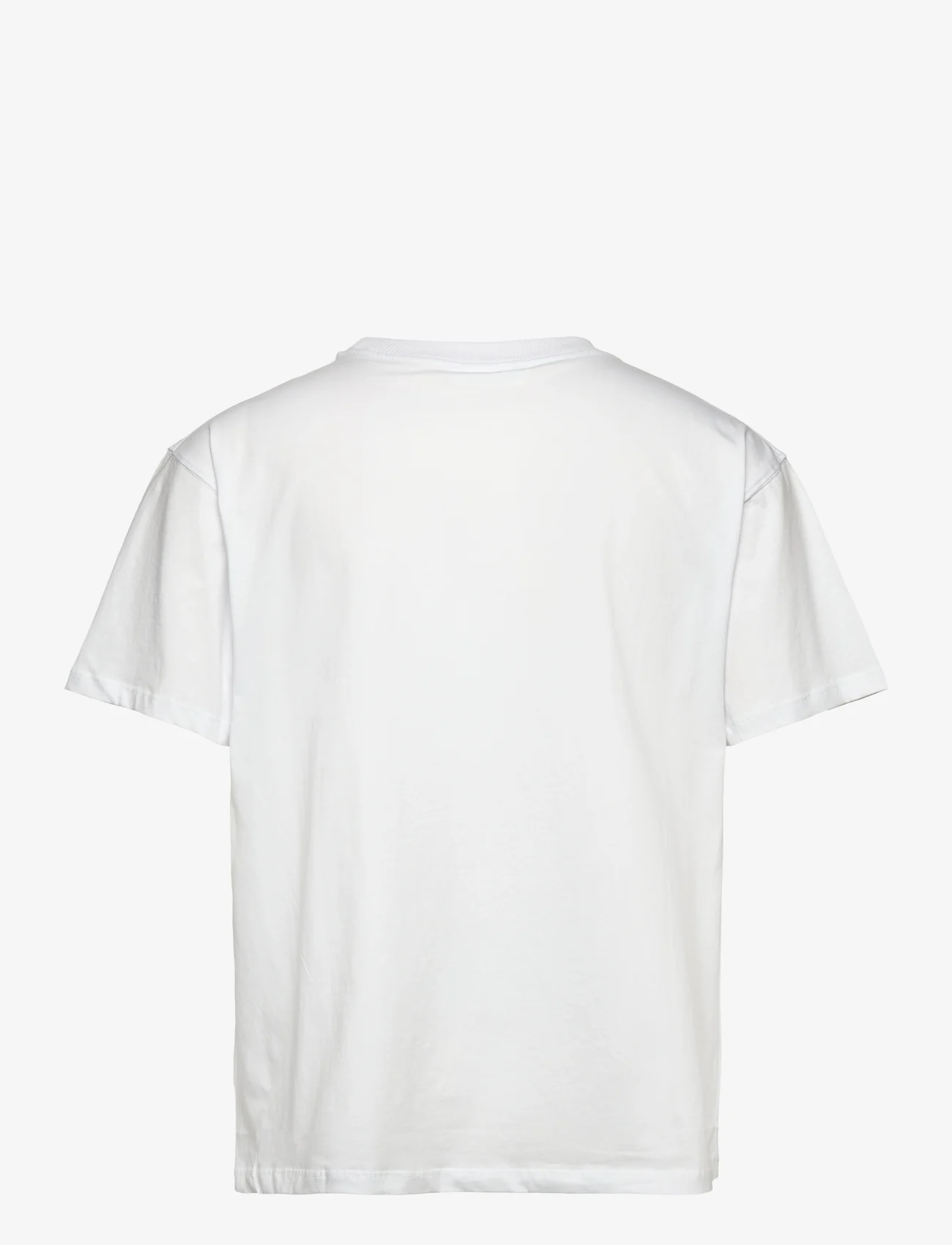 Soulland - ASH T-shirt - kortärmade t-shirts - white - 1