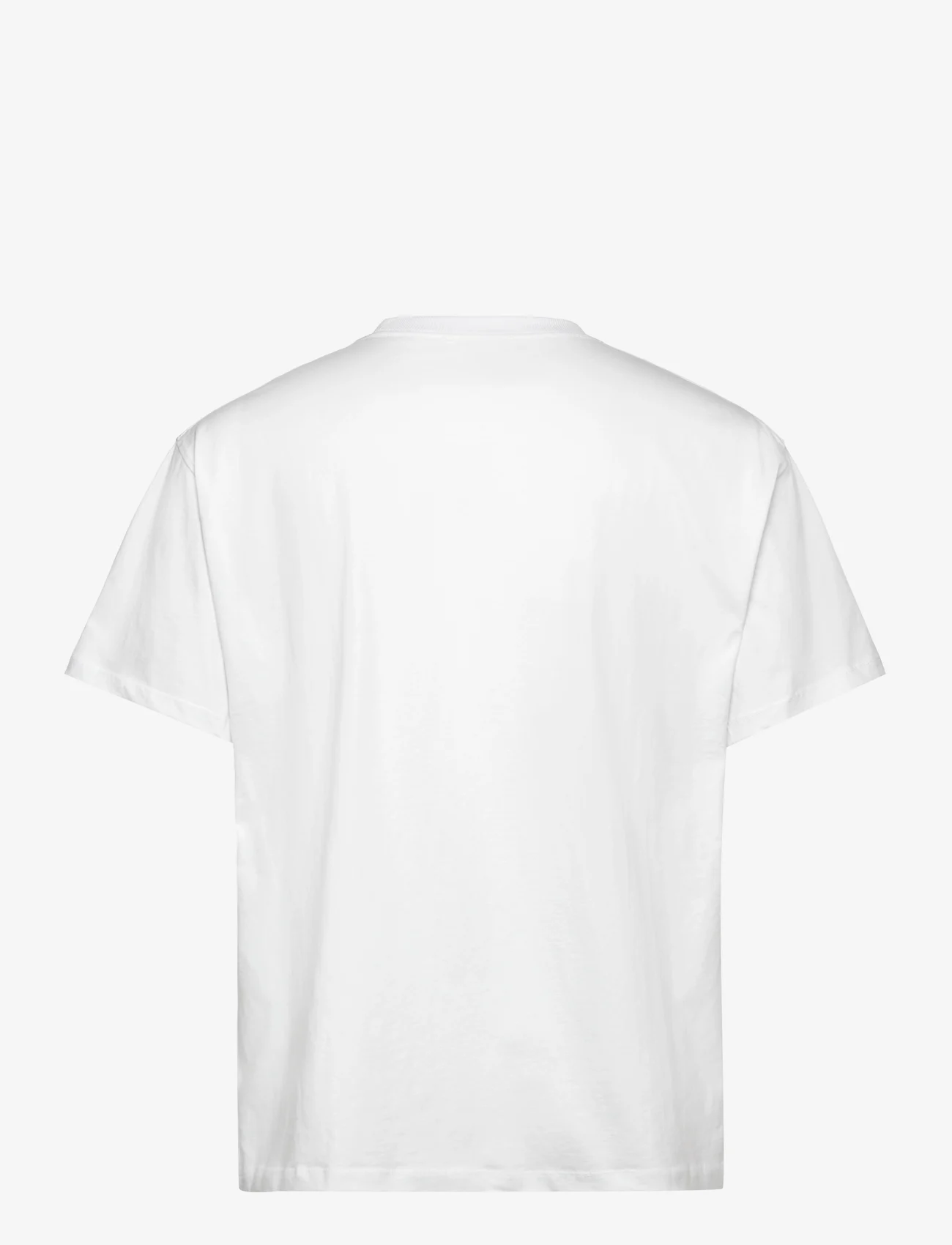 Soulland - OCEAN T-shirt - lühikeste varrukatega t-särgid - white - 1