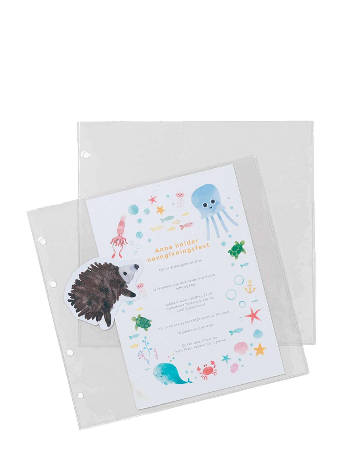 Specialday Plastic Pockets For Books With A Ringbinder Function, One Size, Baby Nursery, Weiß - My First Year, Kinder