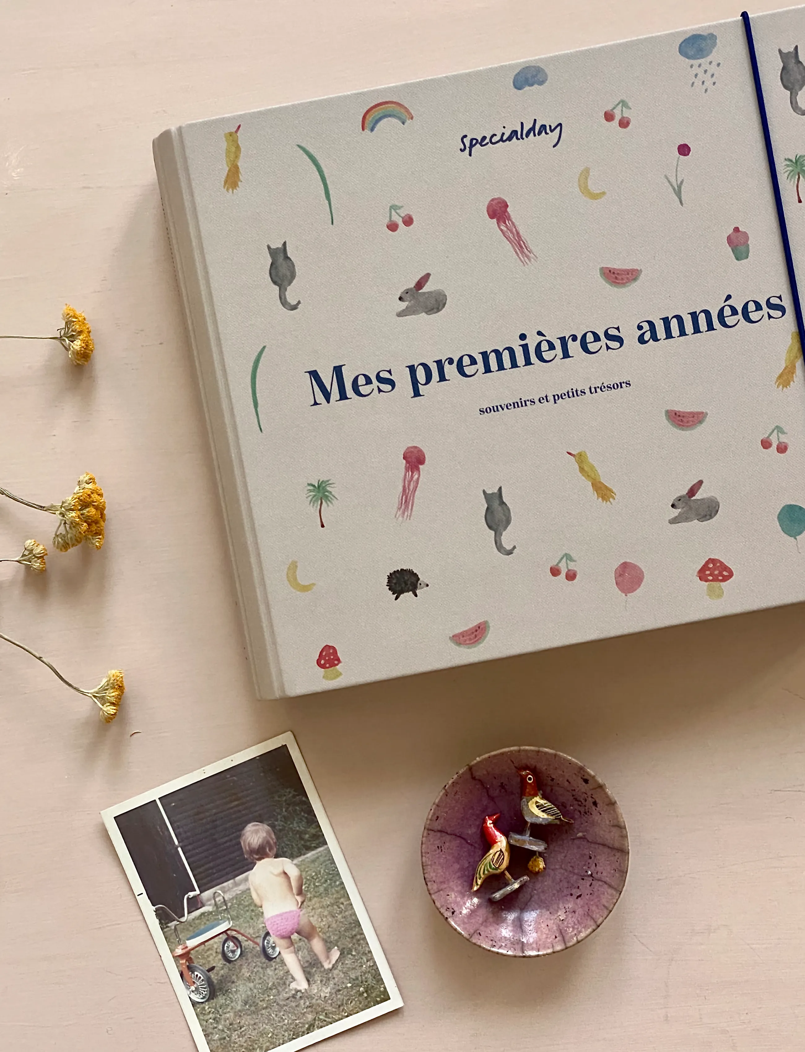 Specialday Baby Journal French Mes Premières Années Beige Album W. Ringbinder Function, FRENCH, Nursery, - My First Year, Kinder