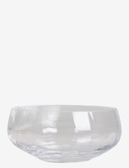 Specktra bowl No. 2 - Large - CLEAR