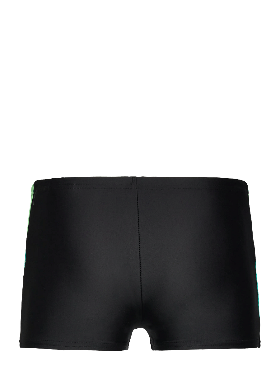 Speedo - Boys Dive Aquashort - uimahousut - green - 1