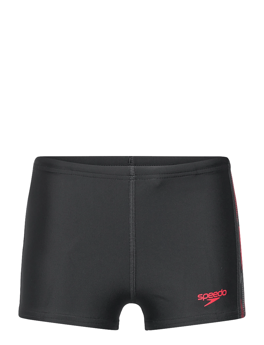 Speedo - Placement Aquashort - szorty kąpielowe - anthracite/high risk red - 0