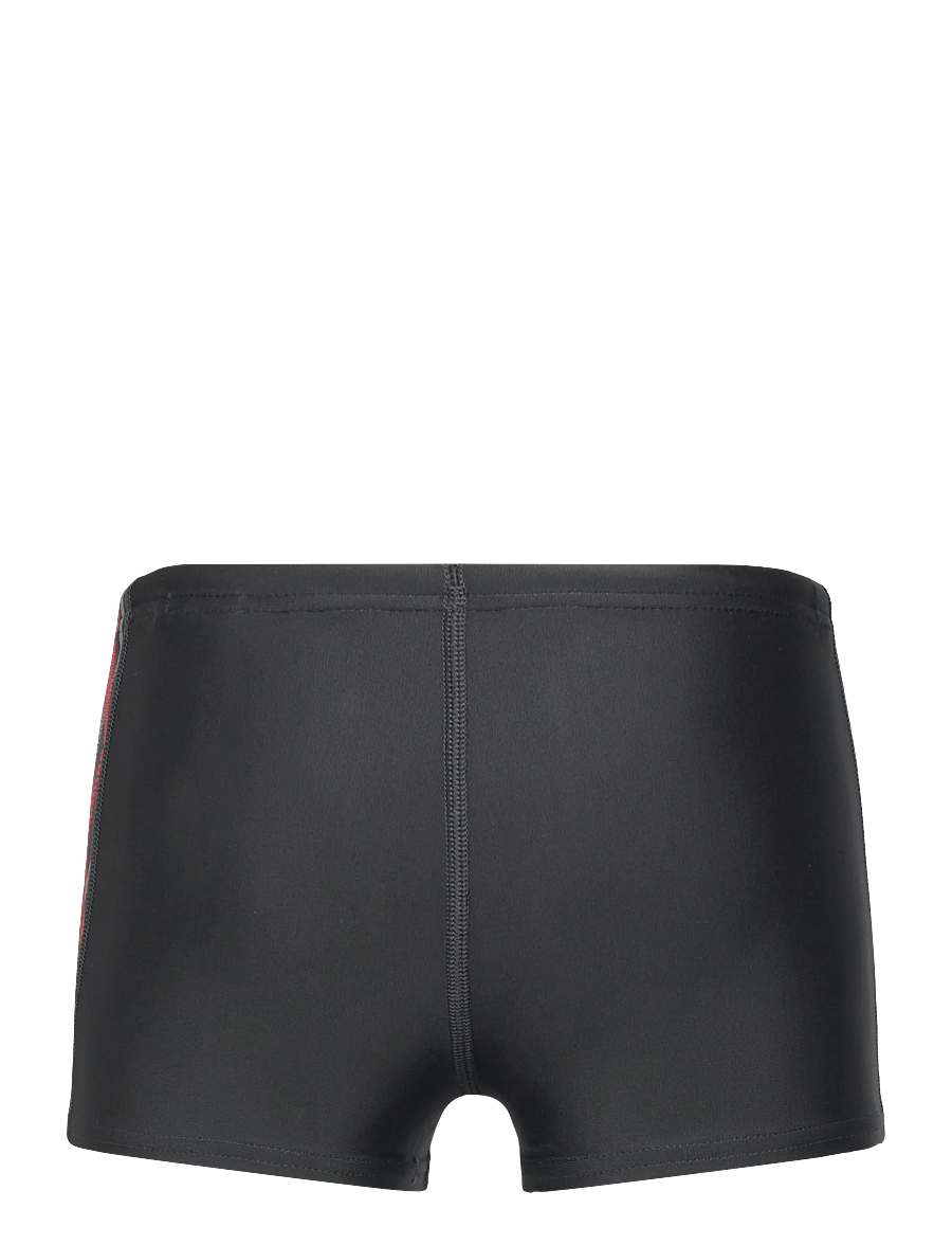 Speedo - Placement Aquashort - szorty kąpielowe - anthracite/high risk red - 1