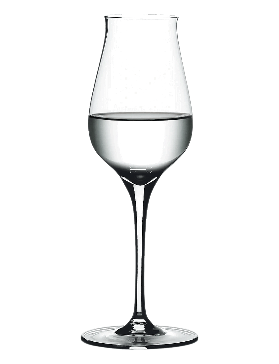 Spiegelau - Authentis Digestive 17 cl 4-pack - viski- ja konjakiklaasid - clear glass - 1