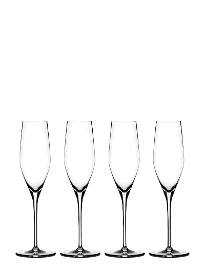 Spiegelau Authentis Champagneglas 19 cl 4-pack - Sektgläser - CLEAR GLASS / clear