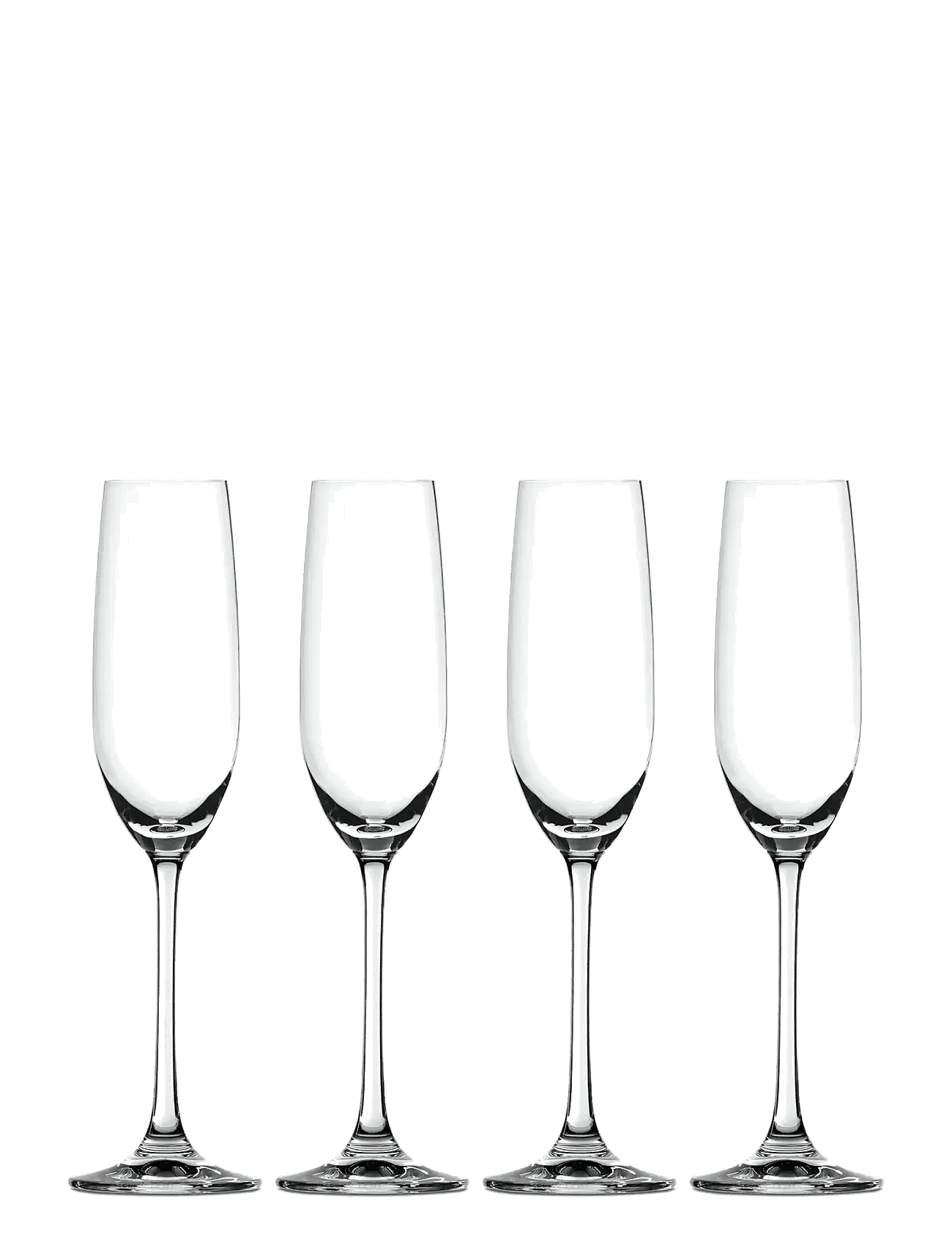 Salute Champagne Glas 21 cl 4-pack - CLEAR GLASS