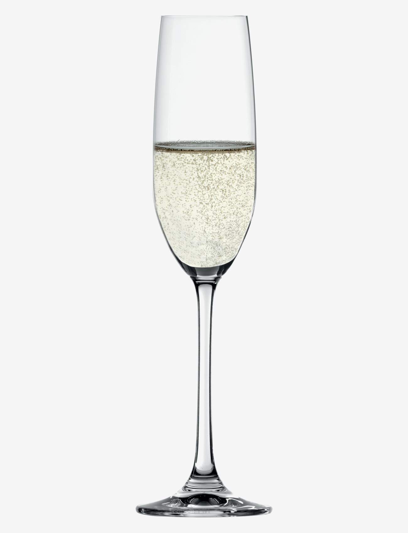 Spiegelau - Salute Champagne Glas 21 cl 4-pack - Šampanieša glāzes - clear glass - 1