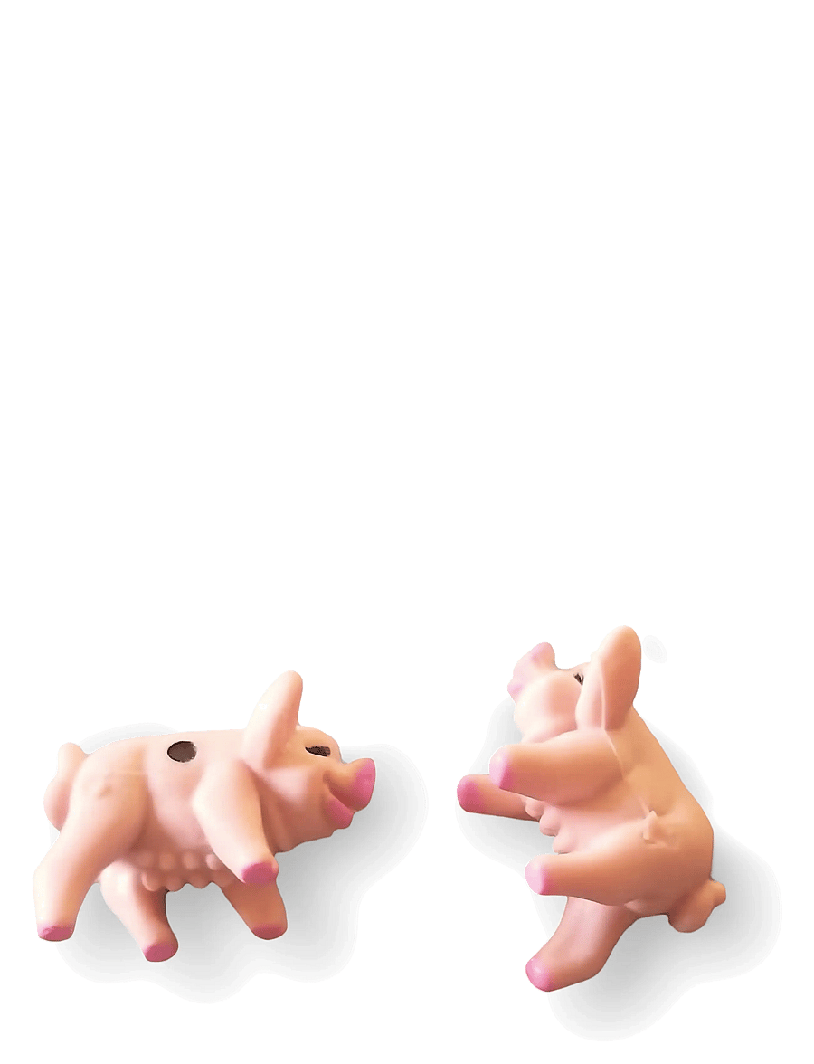 Spilbræt - Kaste Gris / Pass The Pigs (Nordic) - lauamängud - multi - 5