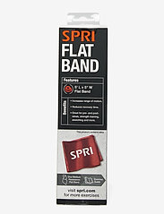 Spri - SPRI FLAT BAND MEDIUM - trainingsbänder - light green - 2