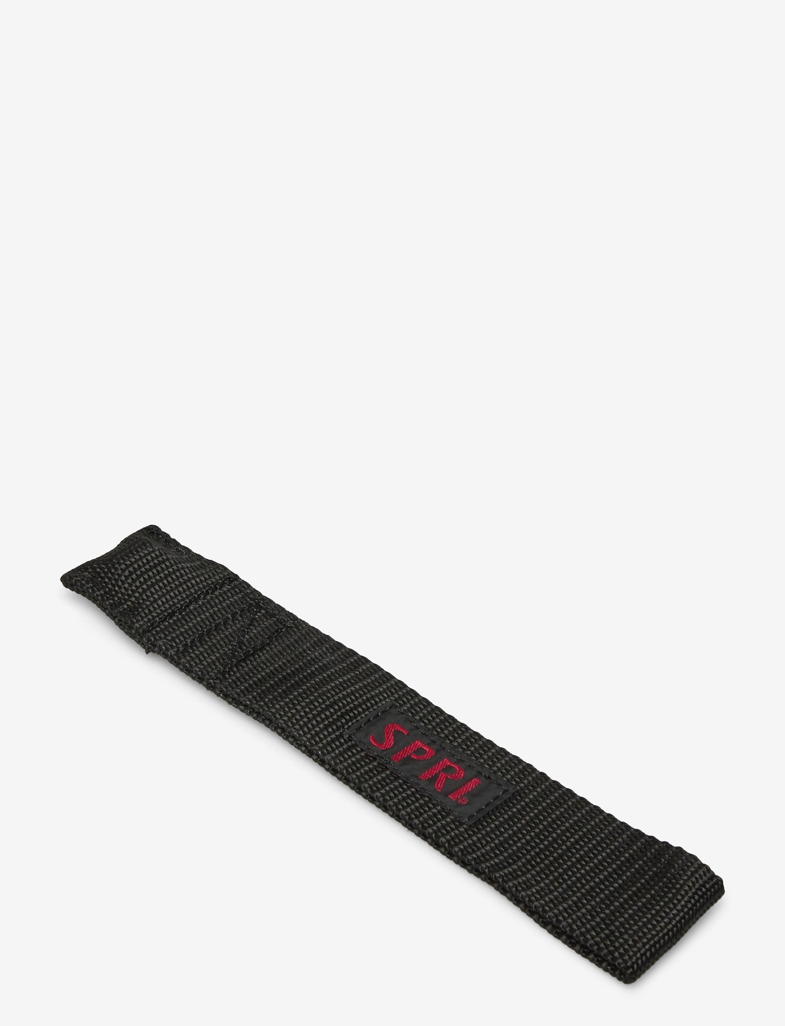 Spri - SPRI DOOR ATTACHMENT - hjemmetræningsudstyr - black - 1