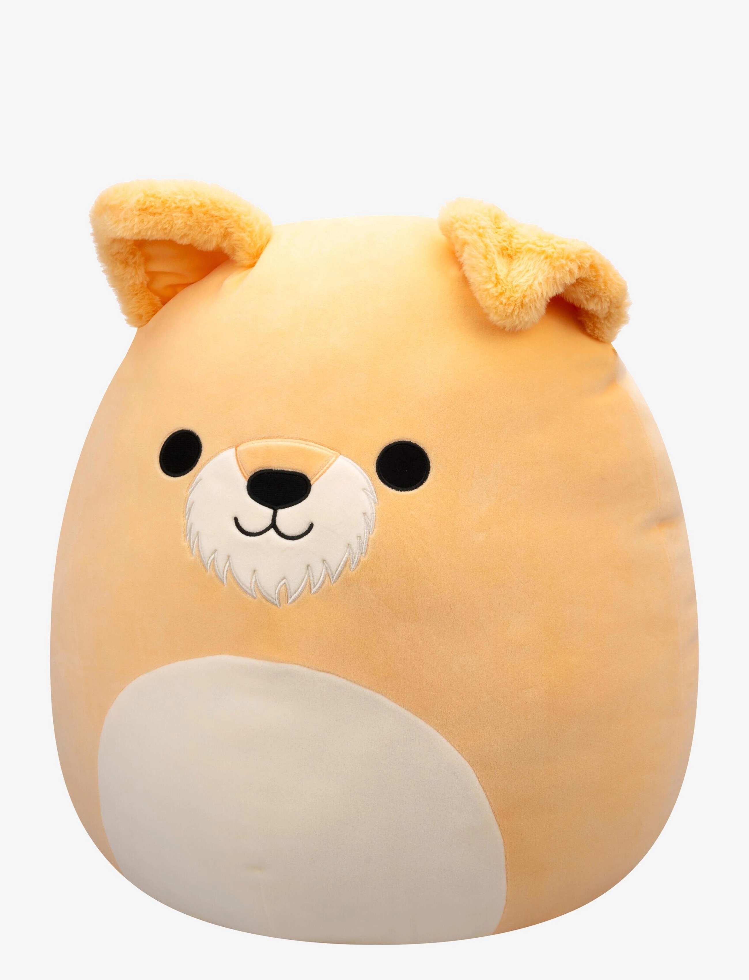 Squishmallows - Squishmallows 50 cm P20 Cooper Dog - multi coloured - 4