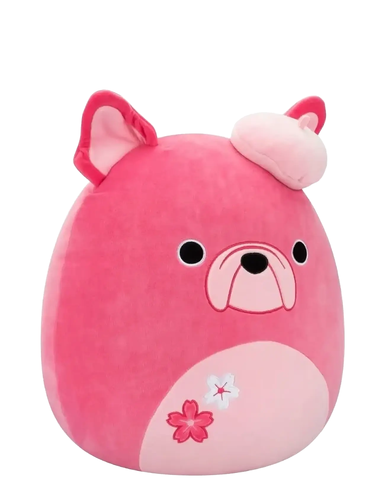 Squishmallows - Squishmallows 40 cm P22 Elise French Bulldog - tøjdyr - multi coloured - 1