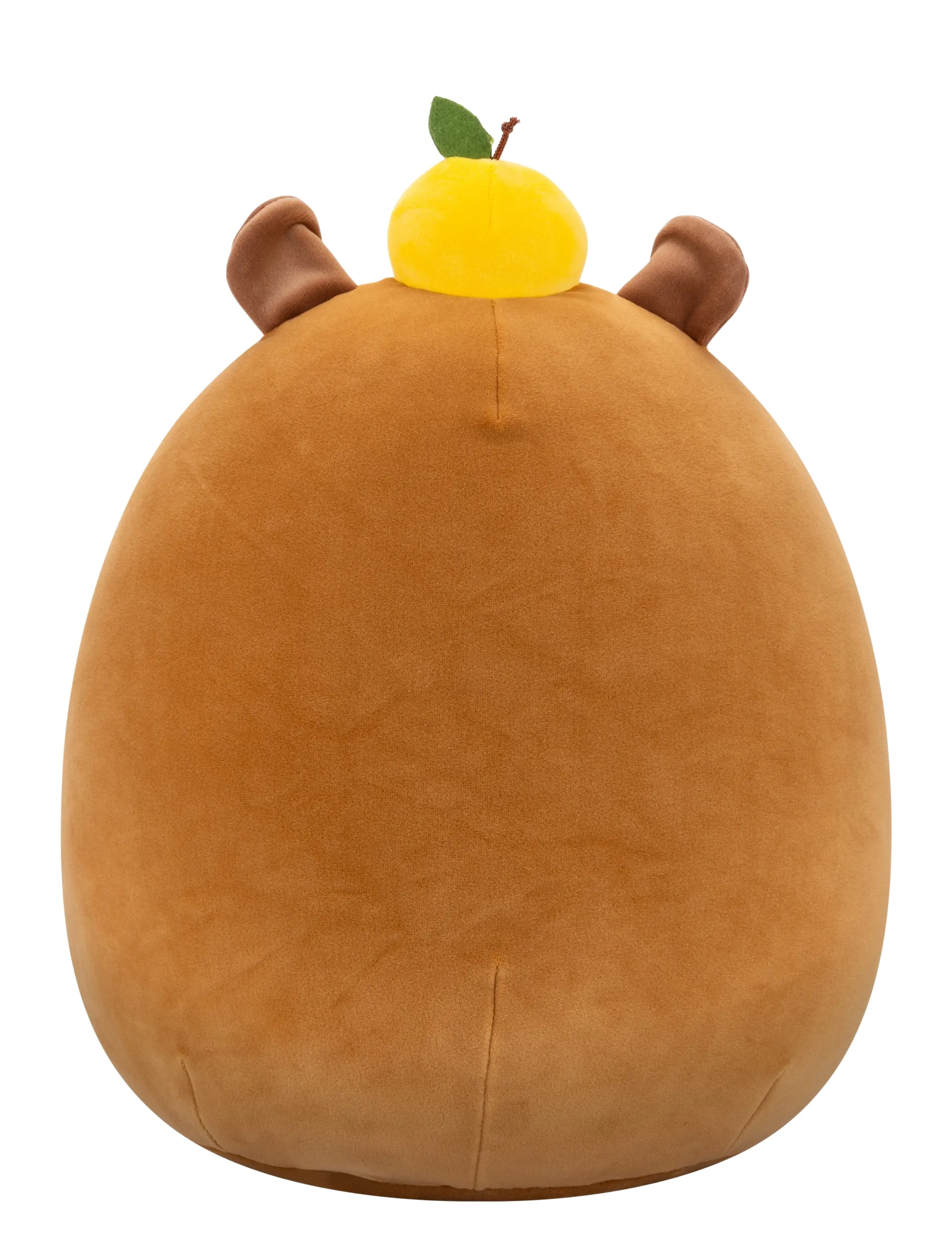 Squishmallows - Squishmallows 30 cm P23 Lijjian Capybara - multi coloured - 3