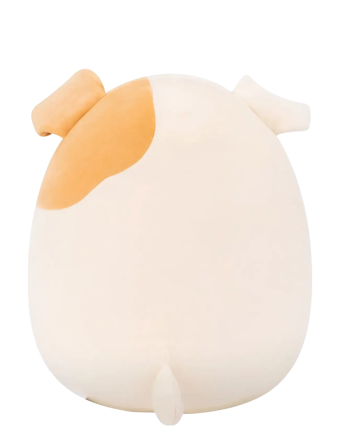 Squishmallows - Squishmallows 30 cm P24 Brock Bulldog - gosedjur - multicolor - 3