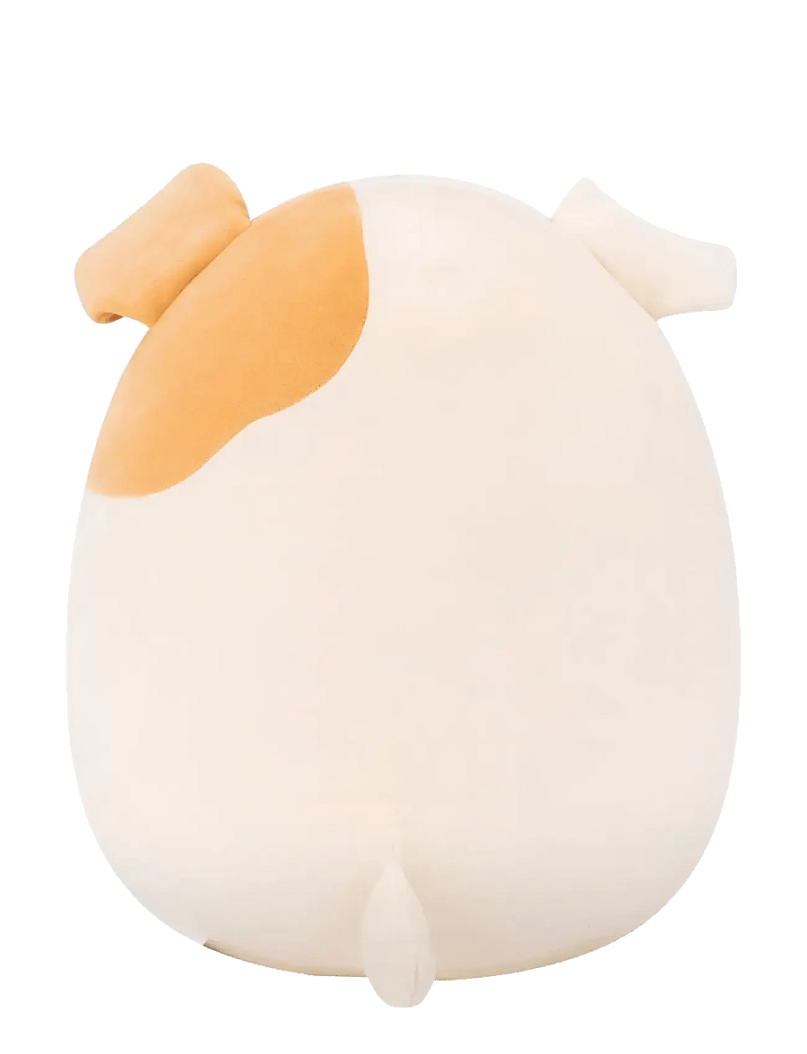 Squishmallows - Squishmallows 30 cm P24 Brock Bulldog - gosedjur - multicolor - 3