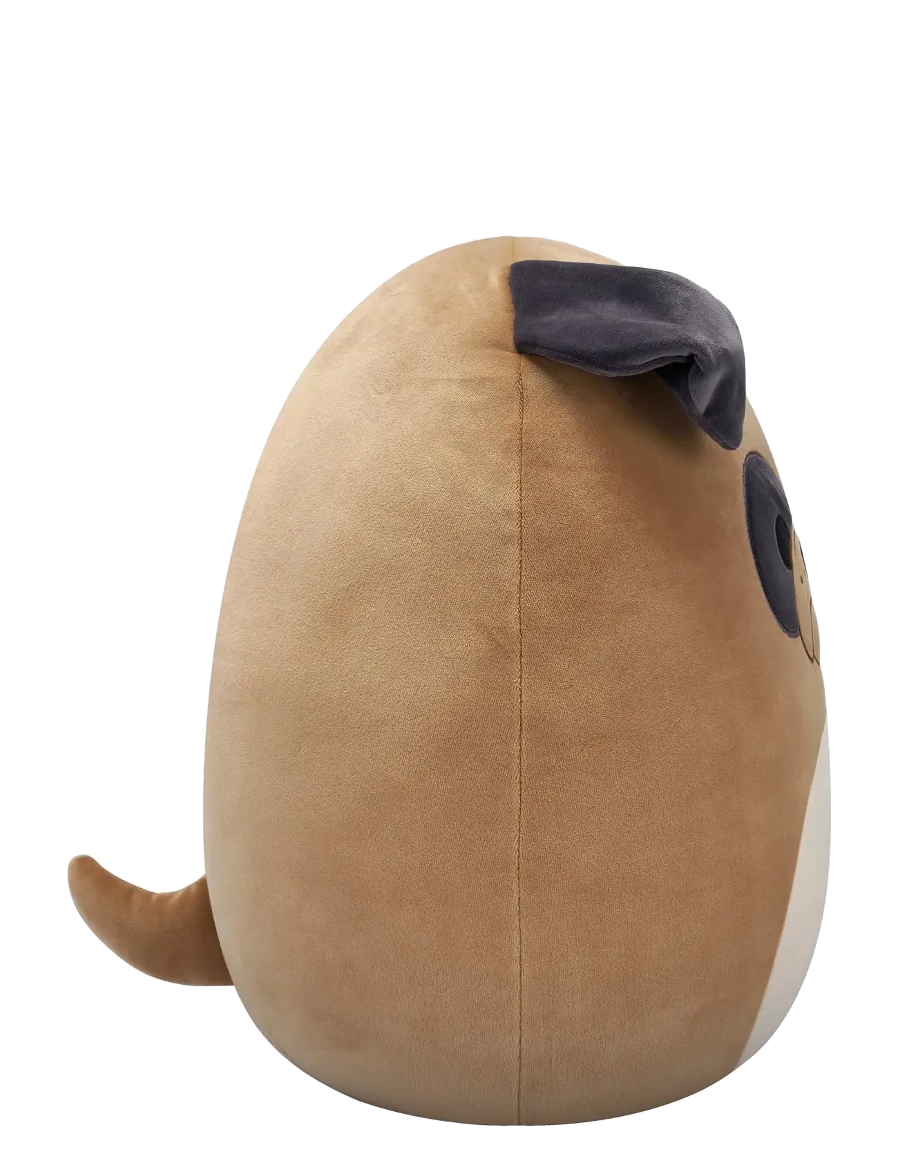 Squishmallows - Squishmallows 40 cm P24 Loafer Bulldog - tuskudýr - multicolor - 2