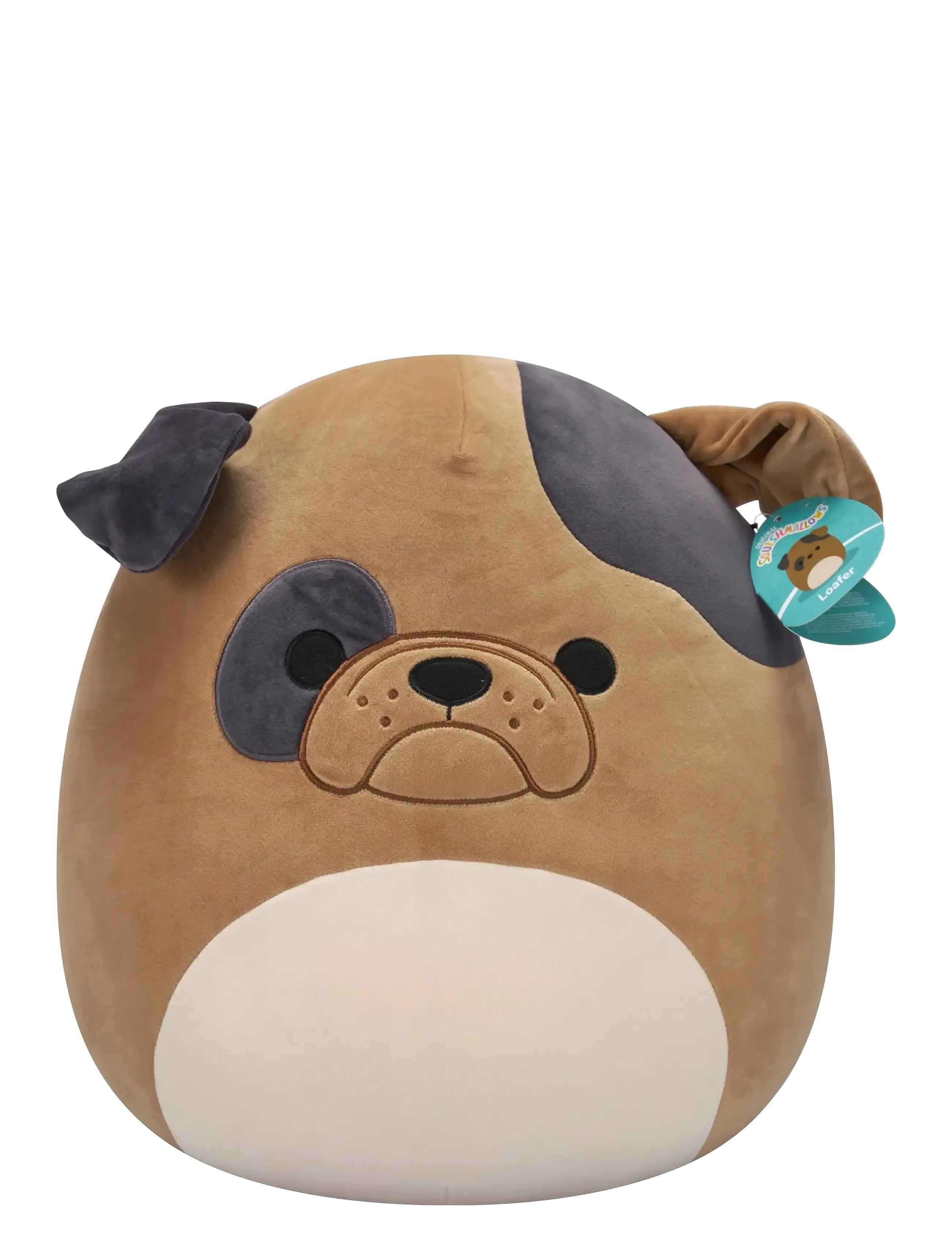 Squishmallows - Squishmallows 40 cm P24 Loafer Bulldog - tuskudýr - multicolor - 4