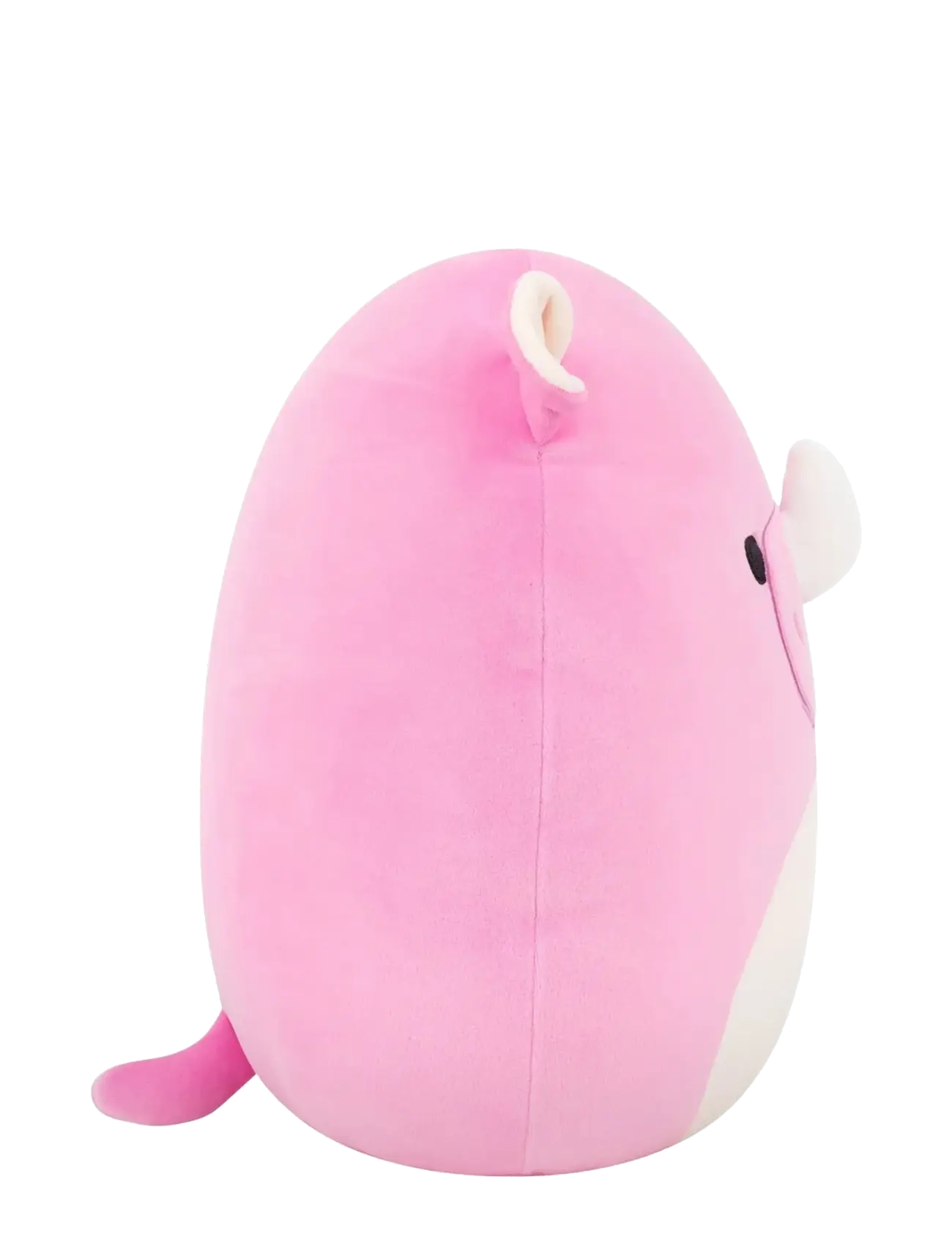 Squishmallows - Squishmallows 30 cm P25 Norma Jean Rhino - tøjdyr - multicolor - 2