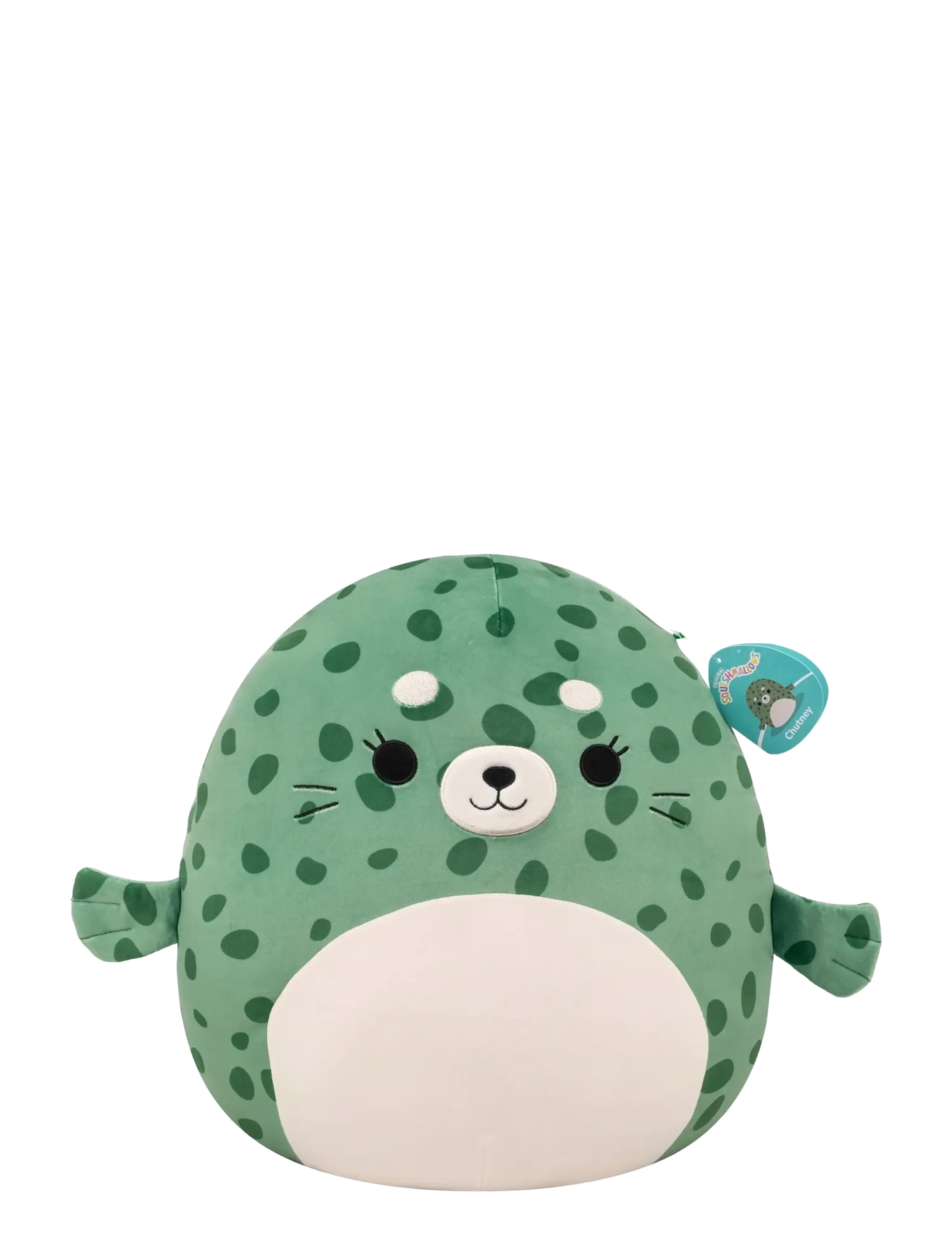 Squishmallows - Squishmallows 40 cm P25 Chutney Seal - tøyleker - multicolor - 4