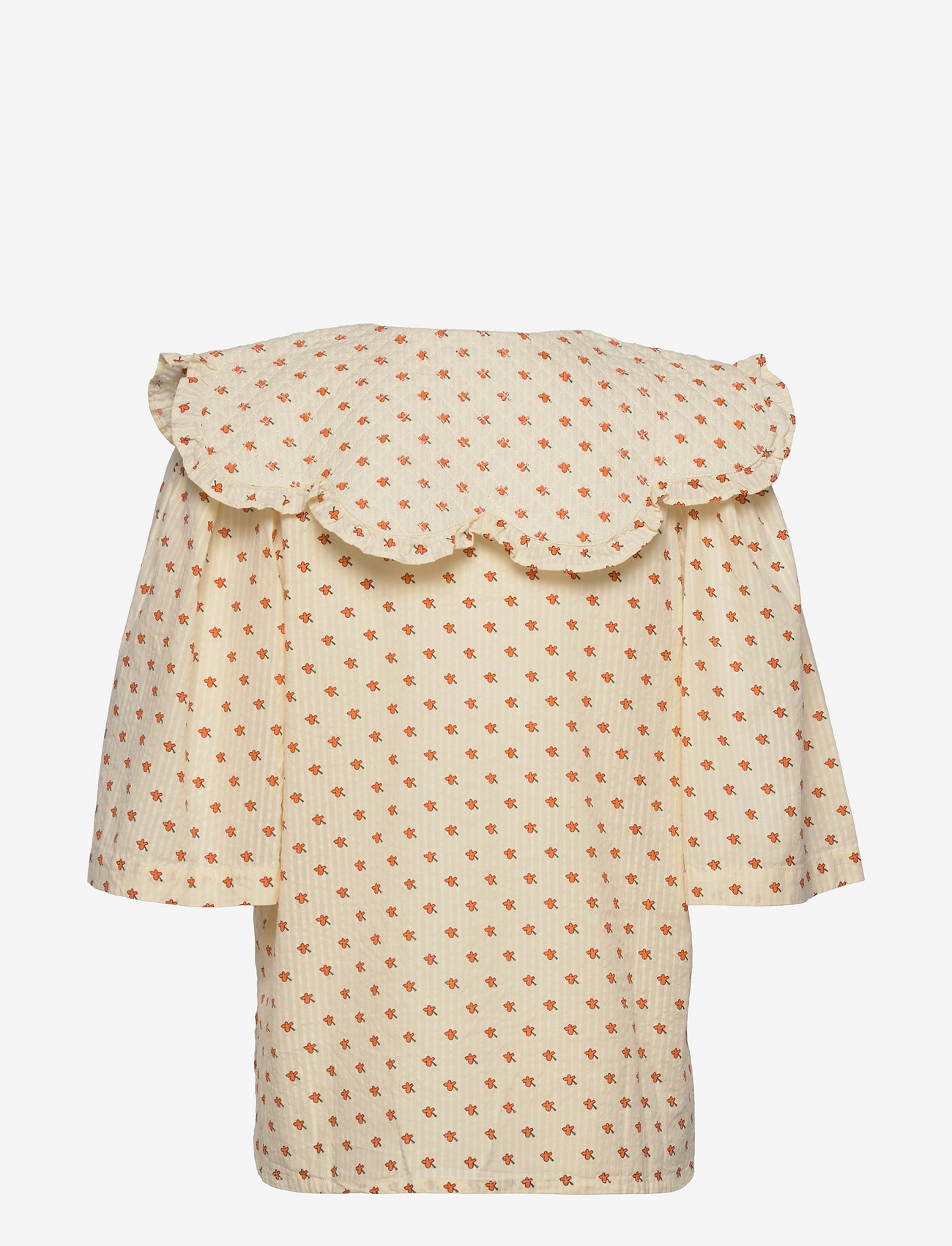 Stella Nova - Dicte - light flowers - 1