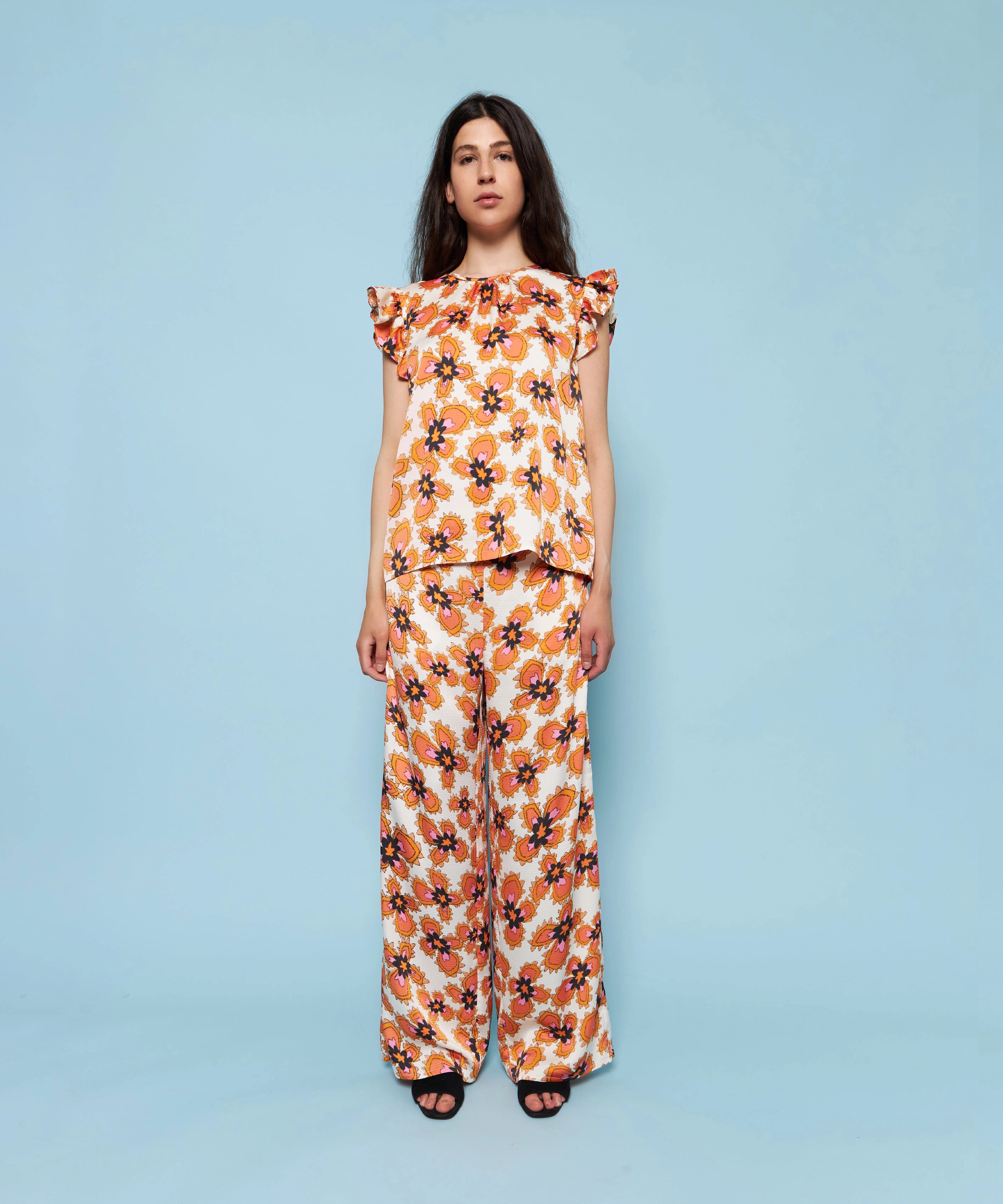 Stella Nova - Bolette - gardeners flowers - 2