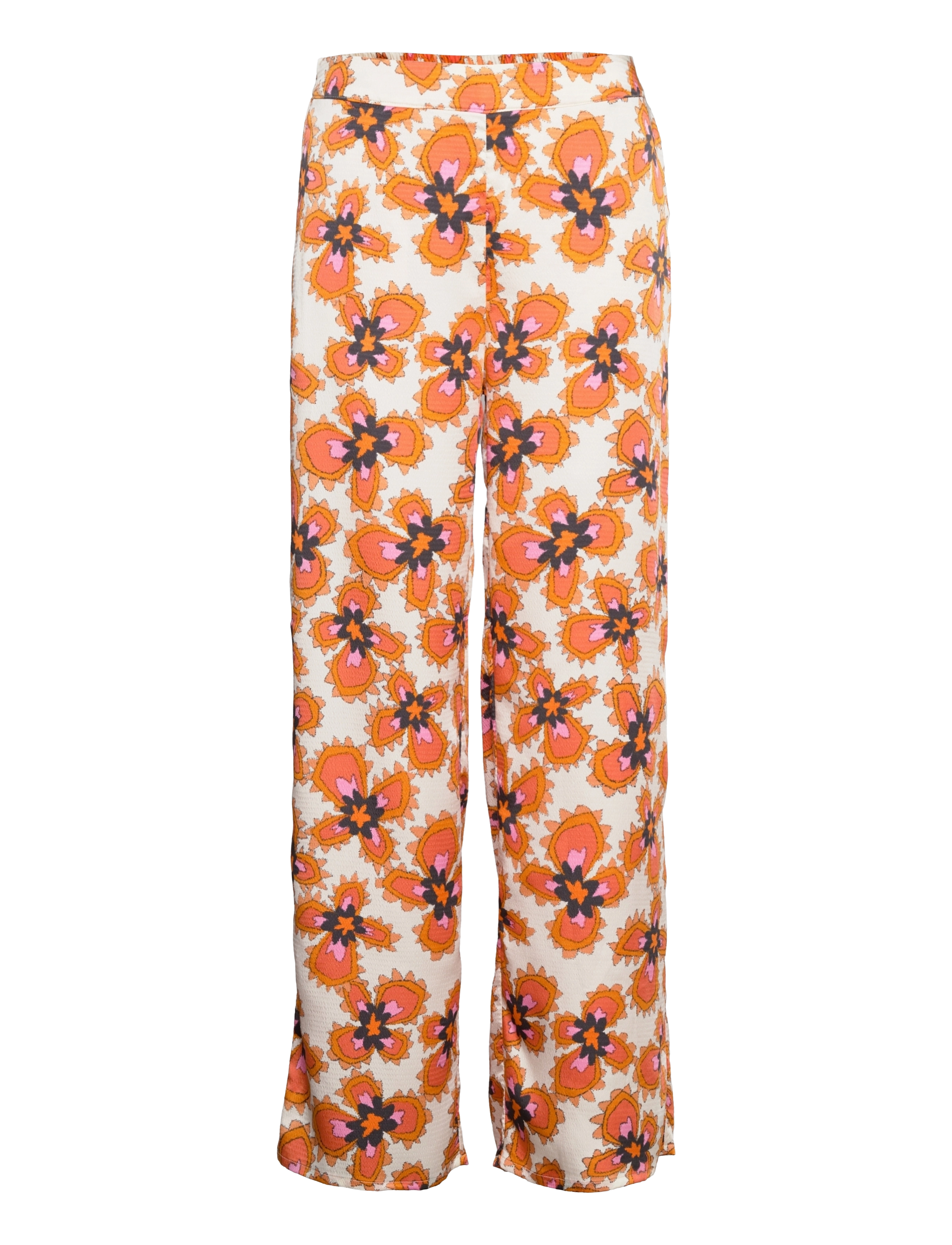 Stella Nova - Orli - gardeners flowers - 0