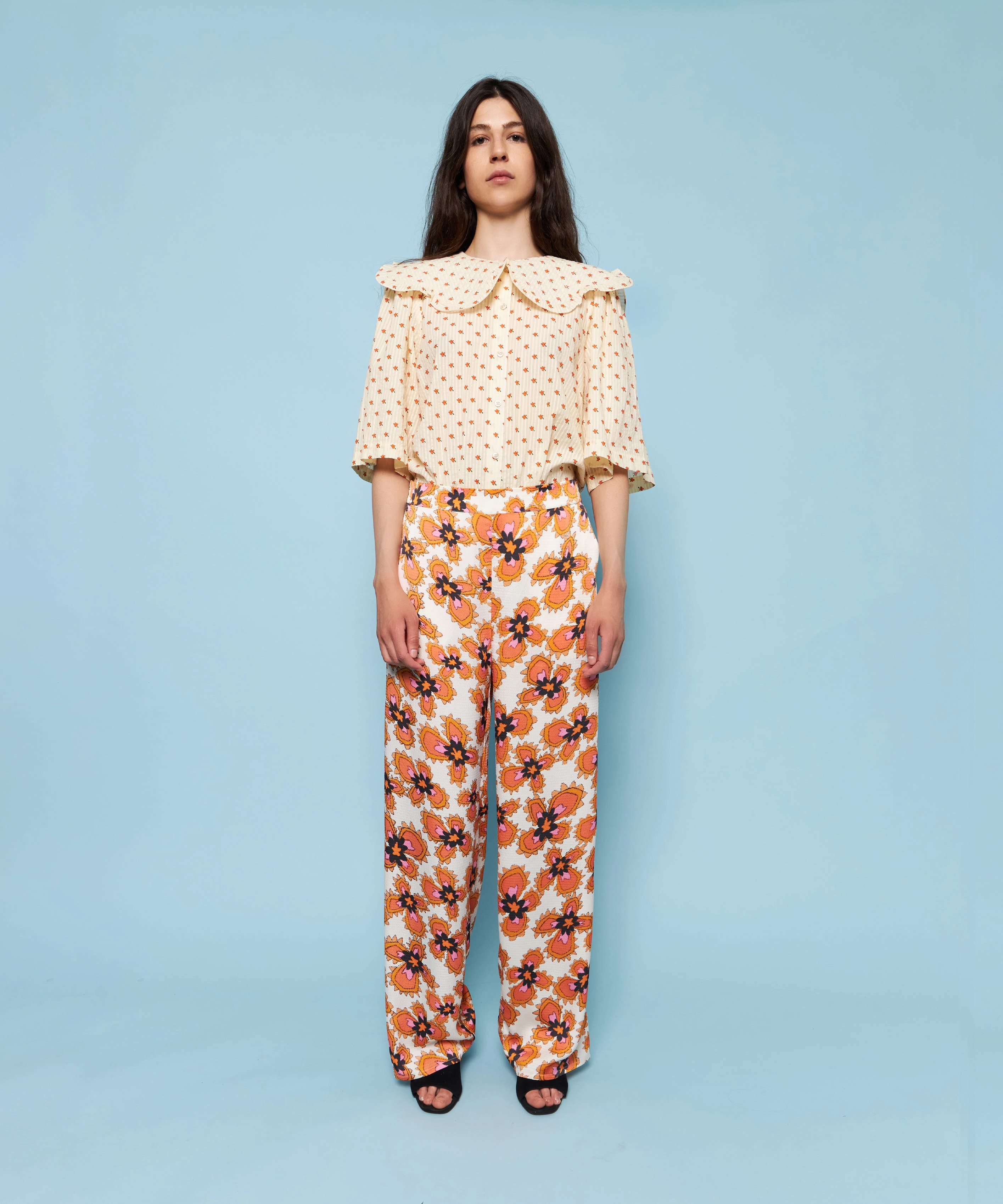 Stella Nova - Orli - gardeners flowers - 2