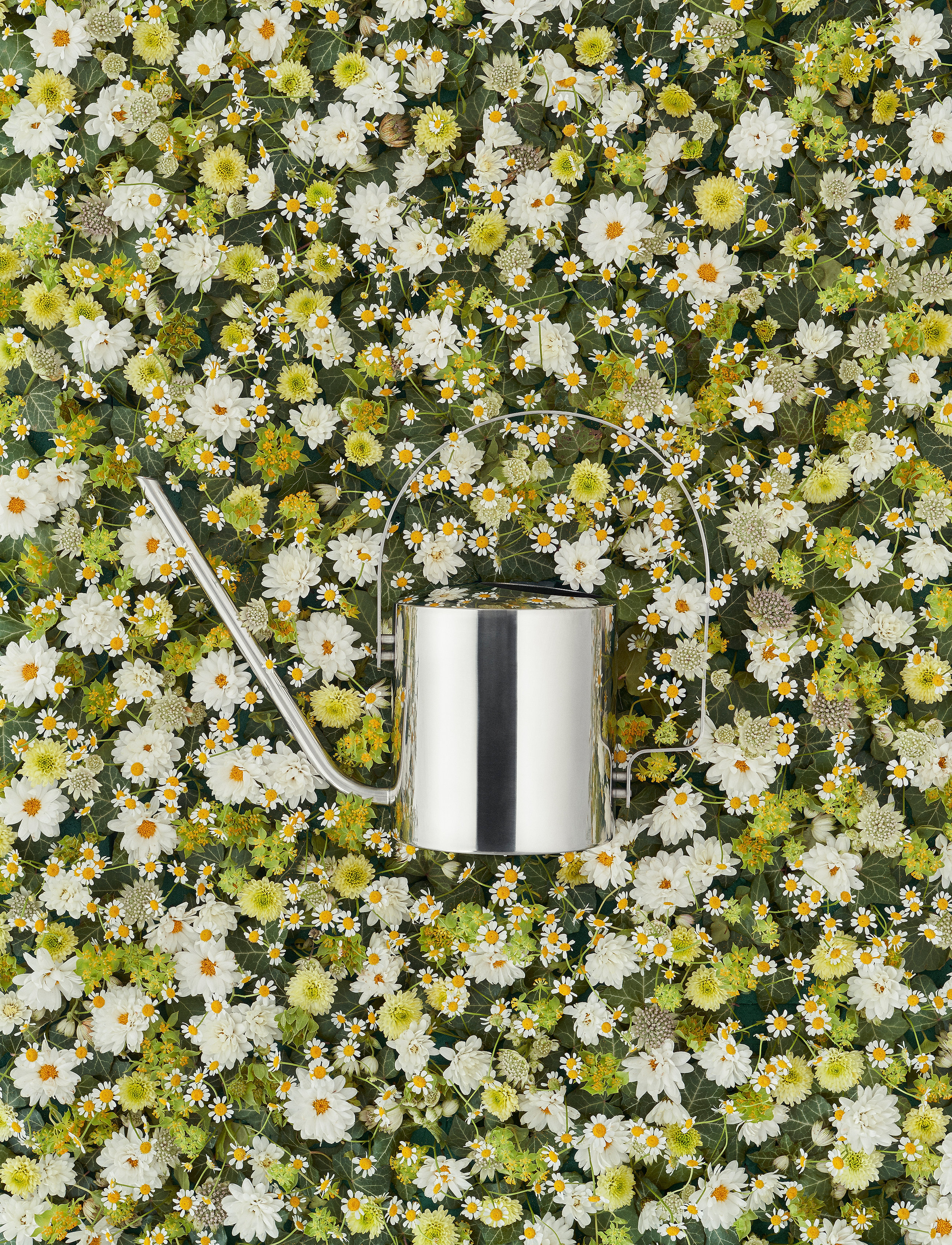 Stelton - Original flower watering can - 1.7 l. - valentinstaggeschenke - steel - 2