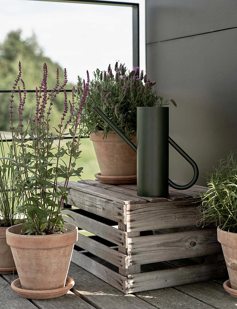 Stelton - Bloom vattenkanna 2 l. pine - osta hinna alusel - pine - 2