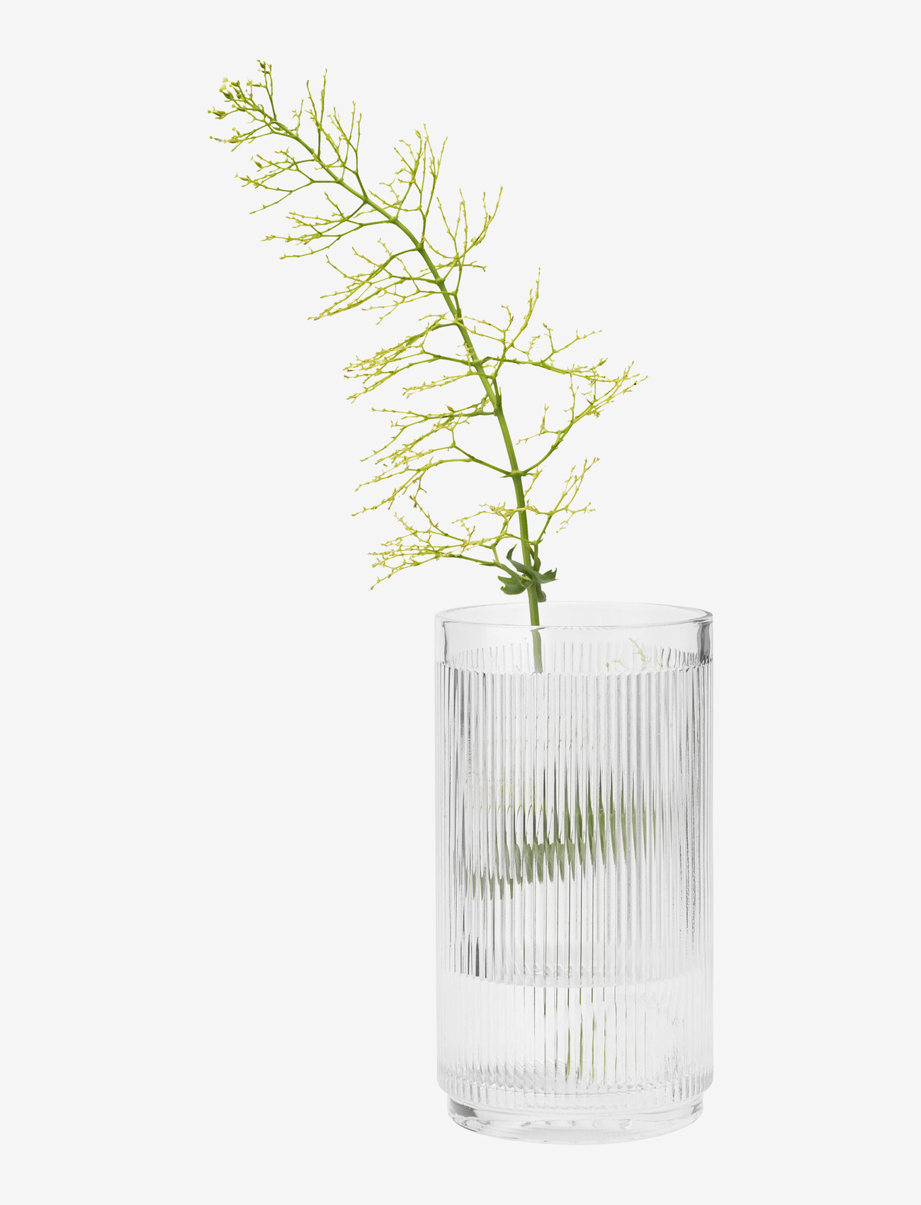 Stelton - Pilastro wine cooler - no color - 1