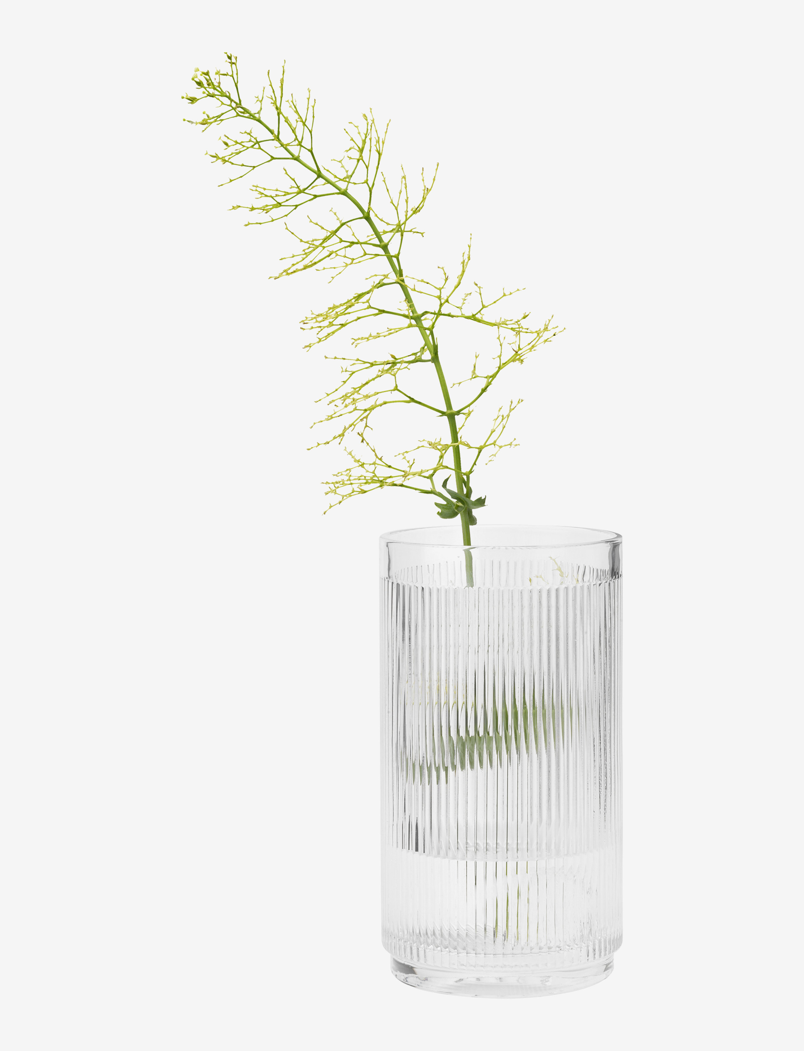 Stelton - Pilastro wine cooler - pudelijahutid - no color - 1