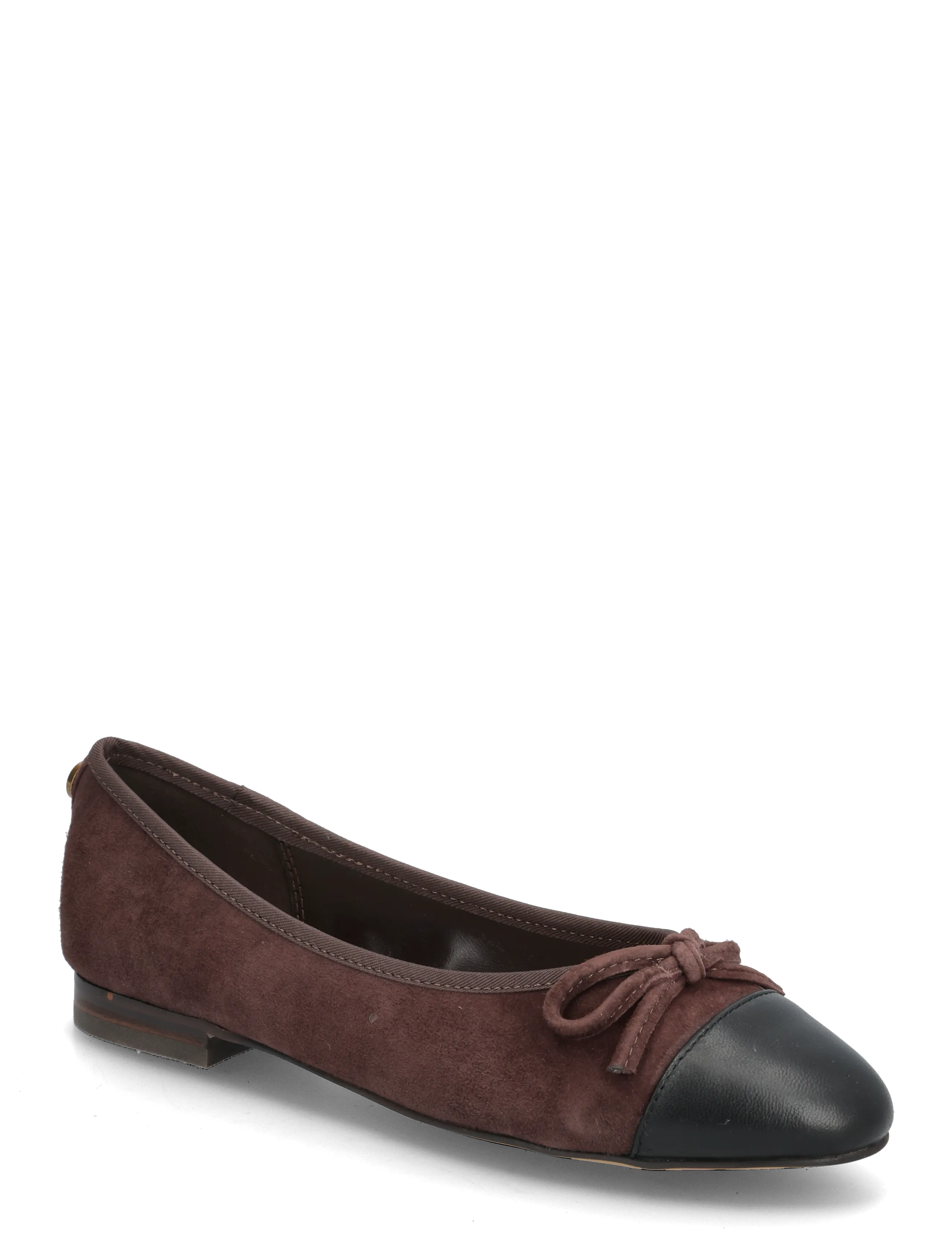 Steve Madden Ellison - Steve Madden - GROUND COFFEE SUEDE / brown