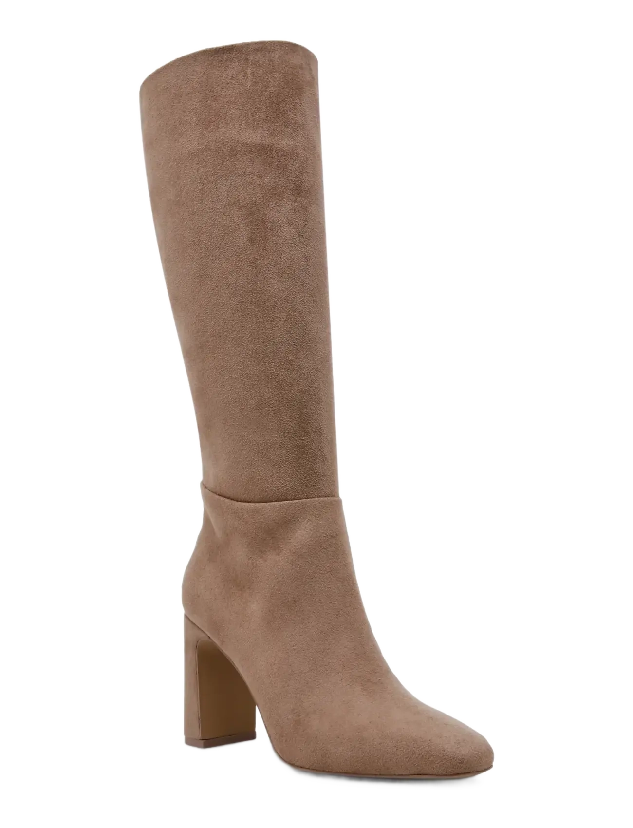 Steve Madden Speedway - Pikad saapad - TAUPE SUEDE / beige