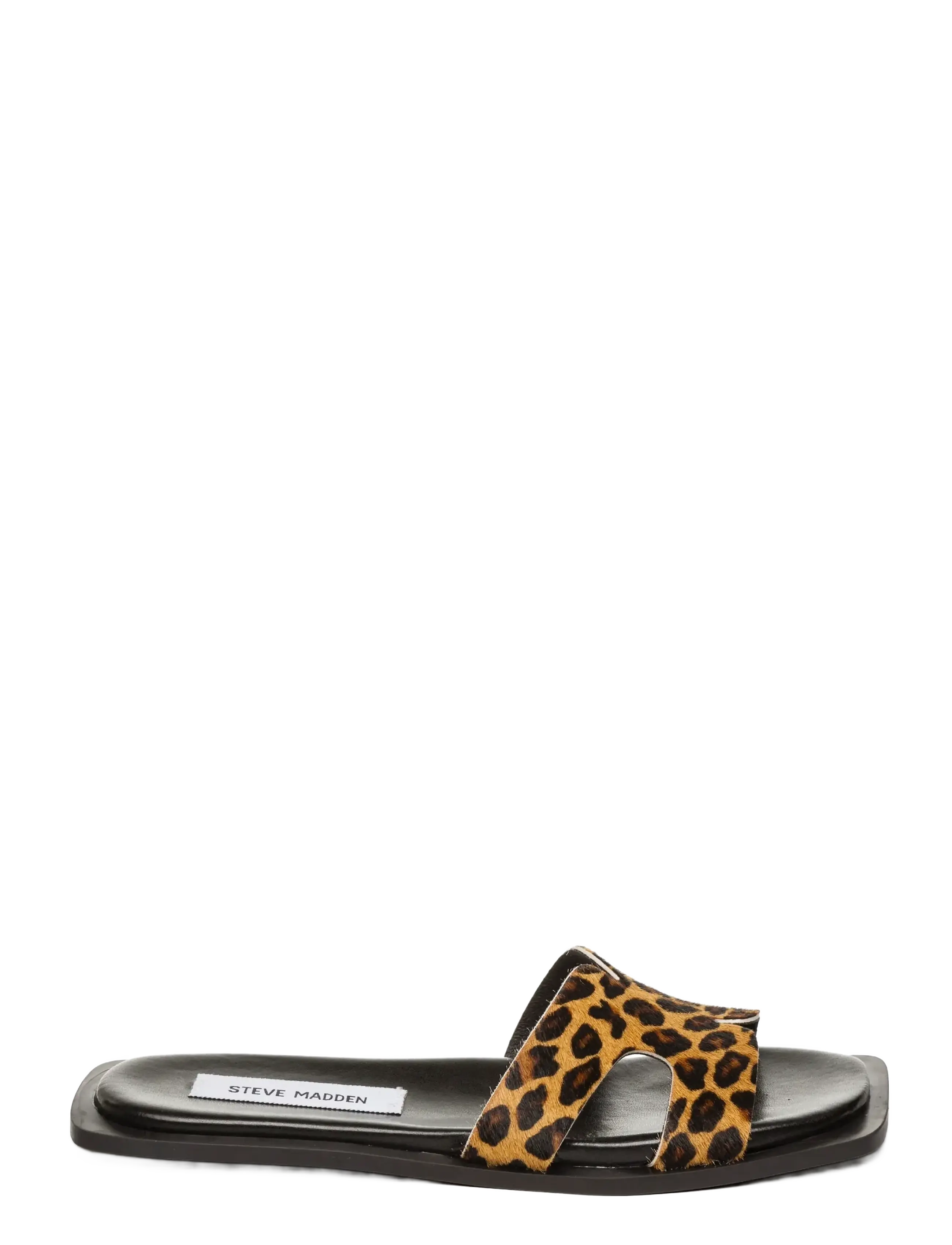 Steve Madden - Sofia-L - leopard - 1