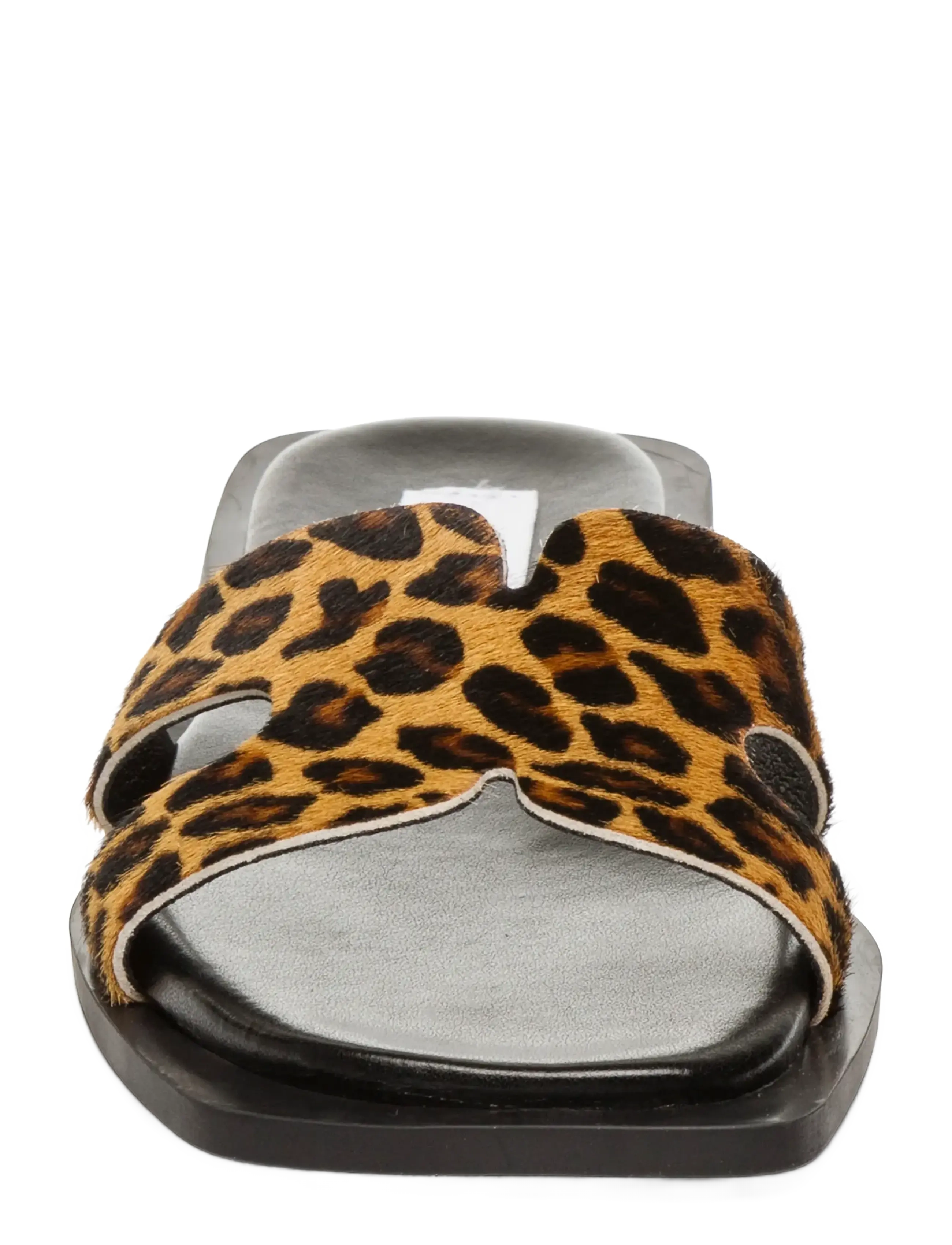 Steve Madden - Sofia-L - leopard - 2