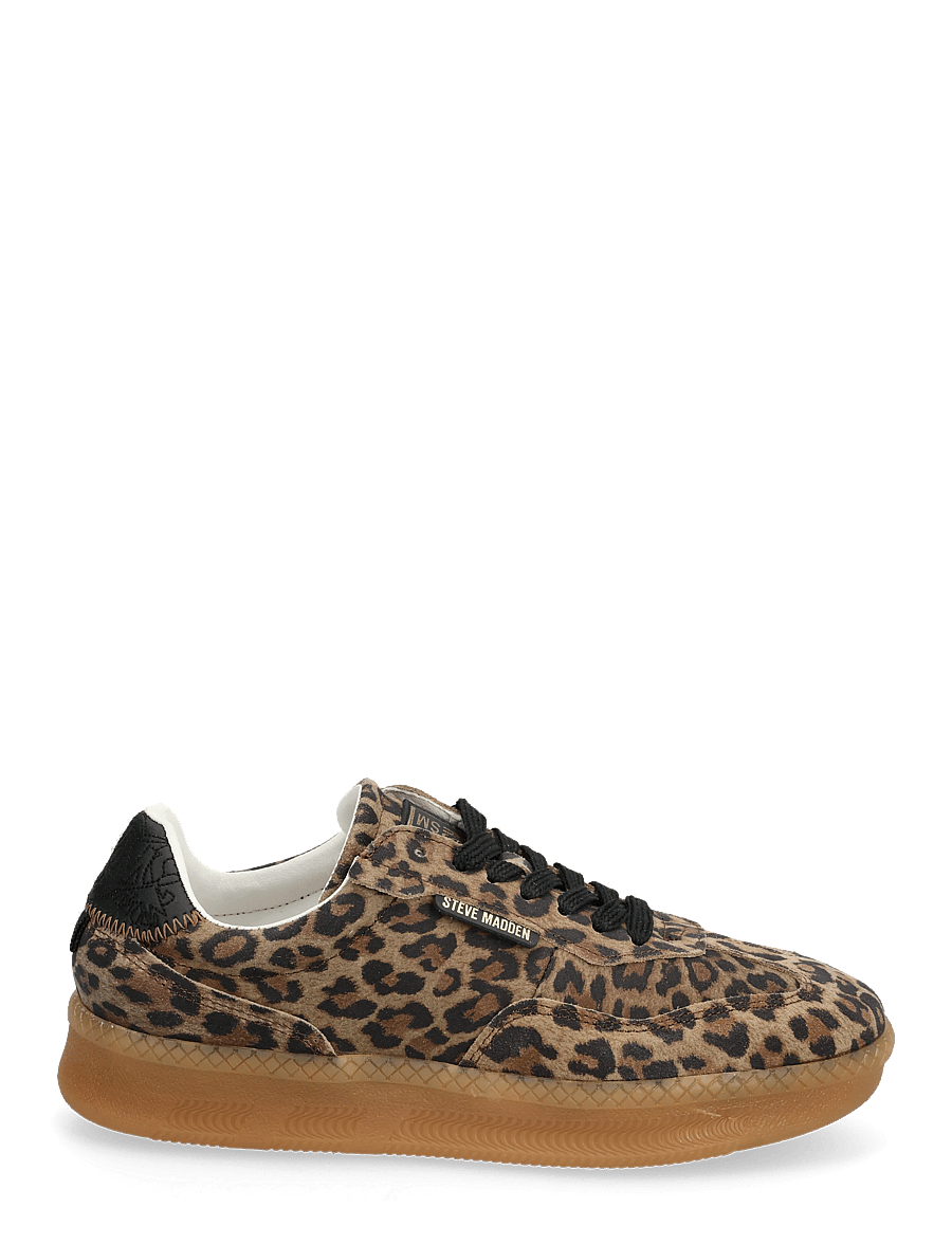 Steve Madden - Euphoria - niedrige sneaker - leopard - 1
