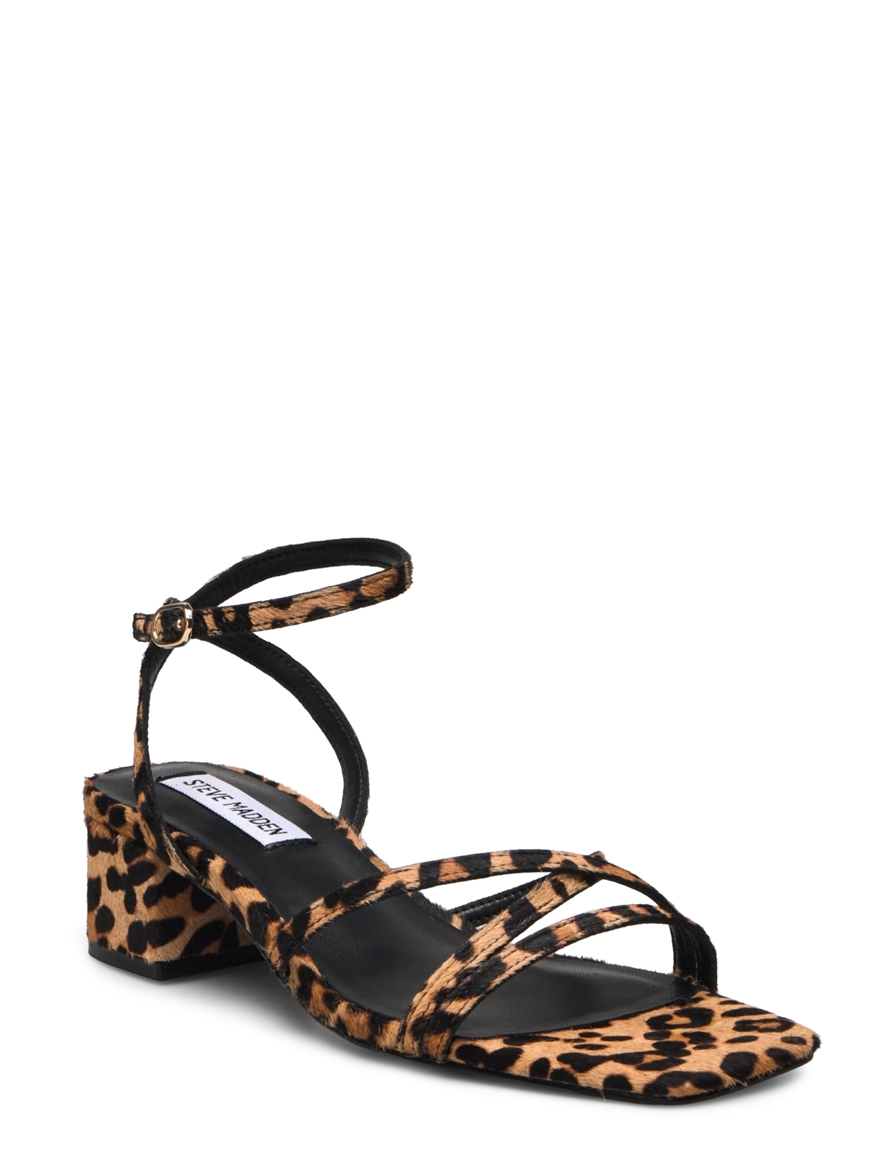 Steve Madden Gabby-L Sandal - Högklackade skor - LEOPARD / brown