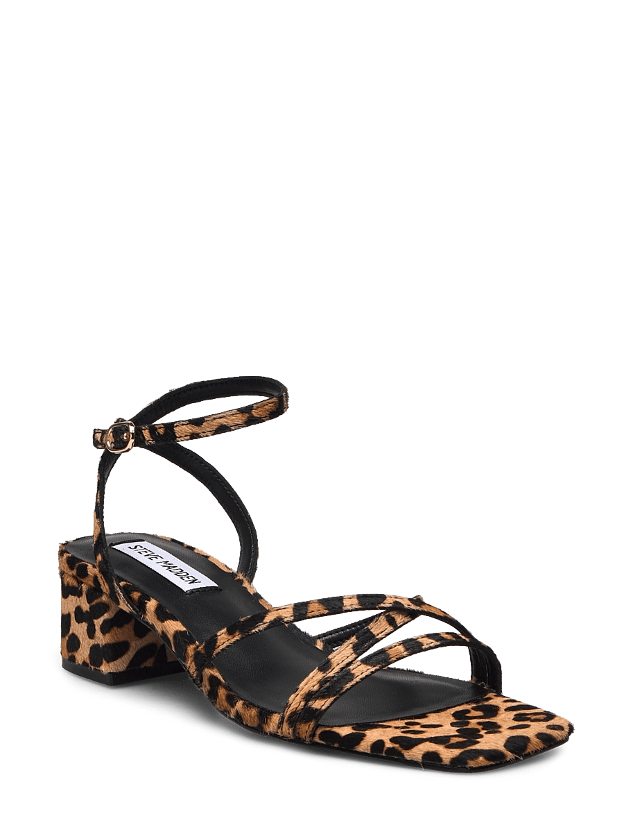 Steve Madden - Gabby-L Sandal - kontsaga sandaalid - leopard - 0