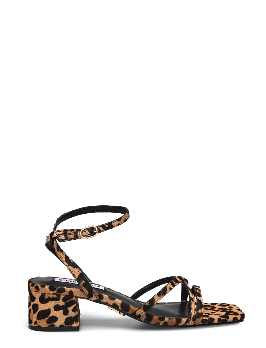 Steve Madden - Gabby-L Sandal - kontsaga sandaalid - leopard - 1
